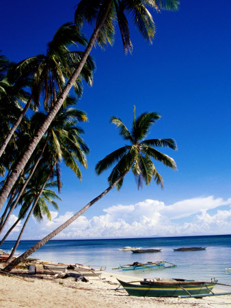 Palm Trees And Outrigger On Paliton Beach, Siquijore, Philippines by Pershouse Craig Pricing Limited Edition Print image