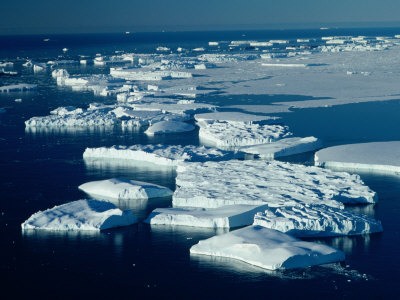 Antarctic Icebergs Surrounded By Pack-Ice, Antarctica by Chester Jonathan Pricing Limited Edition Print image