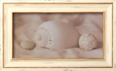 Shell Sonnet Li by Judy Mandolf Pricing Limited Edition Print image