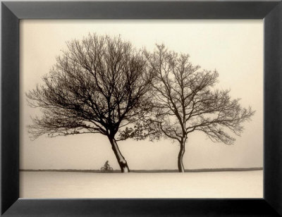 Foggy Evening by Ilona Wellman Pricing Limited Edition Print image