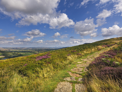 The Cleveland Way, Flanked By Heather In Summertime, North Yorkshire Moors, Yorkshire, England, Uni by Lizzie Shepherd Pricing Limited Edition Print image