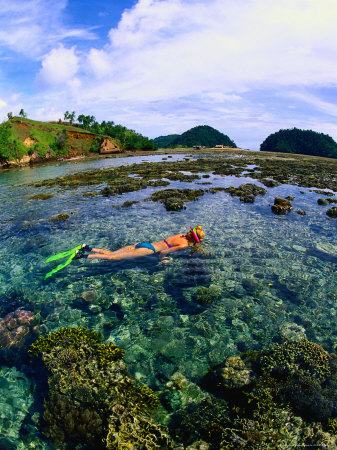 Snorkelling Over Reef,,Maldives by Michael Aw Pricing Limited Edition Print image