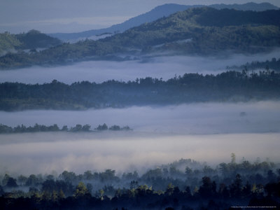 Tari Highlands, Papua New Guinea by Patricio Robles Gil Pricing Limited Edition Print image