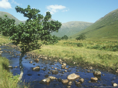 Summer Mountain River, Scotland by David Boag Pricing Limited Edition Print image