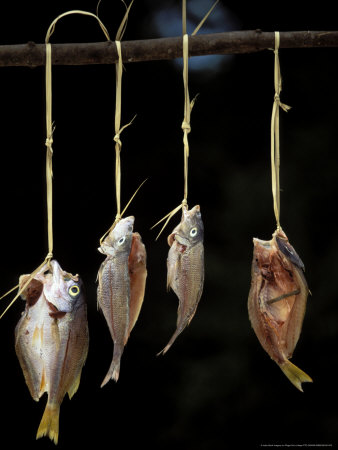 Fish Drying On Rack, Pemba Island, Tanzania by Roger De La Harpe Pricing Limited Edition Print image