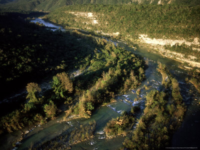Guayalejo River, Mexico by Patricio Robles Gil Pricing Limited Edition Print image