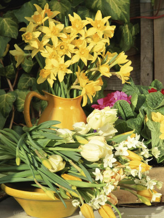 Spring Arrangement With Narcissus In A Yellow Jug, Yellow And White Tulips On A by Linda Burgess Pricing Limited Edition Print image