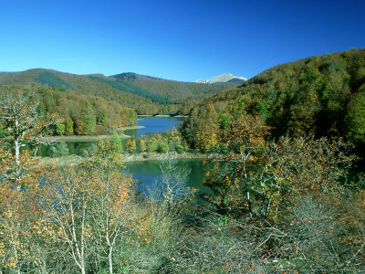 Bosque De Irati, Spain by Antinolo Jorge Sierra Pricing Limited Edition Print image
