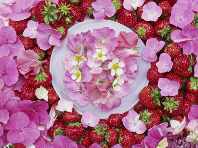 Pink Hydrangea & Strawberries Arranged In A Circle, Pink & Red Summer Still Life by Linda Burgess Pricing Limited Edition Print image
