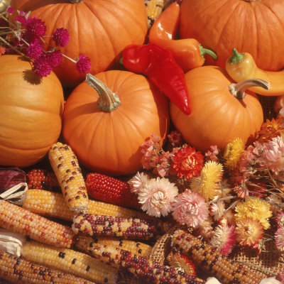 Fall Harvest Display by Cornelius Hogenbirk Pricing Limited Edition Print image