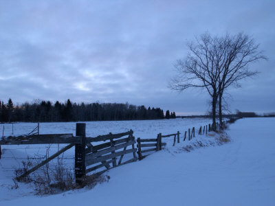 Snow Scene- Gimli, Manitoba by Keith Levit Pricing Limited Edition Print image