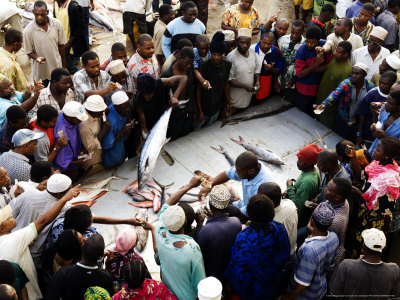 Fish Auction, Dar Es Salaam, Tanzania by Ariadne Van Zandbergen Pricing Limited Edition Print image