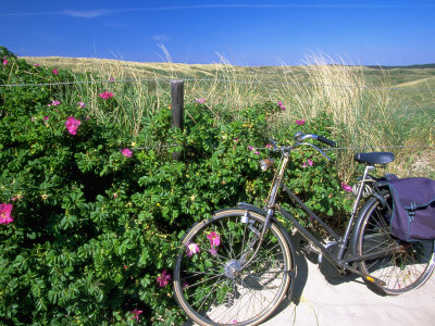 Bicycle And Dunes, Bergen Aan Zee, North Holland by Walter Bibikow Pricing Limited Edition Print image