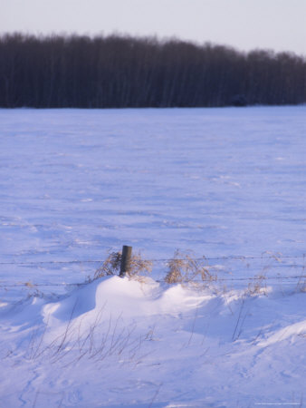 Beach - Gimli, Manitoba by Keith Levit Pricing Limited Edition Print image