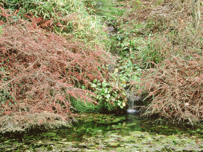 Large Pond & Waterfall by Mark Bolton Pricing Limited Edition Print image