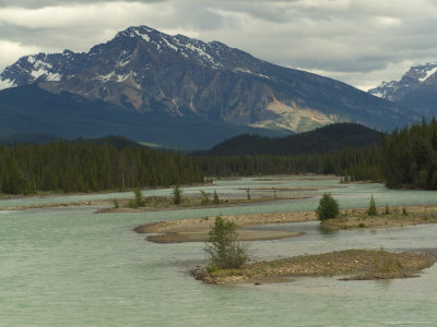 Maligne River And Rocky Mountiains, Jasper National Park, Canada by Keith Levit Pricing Limited Edition Print image