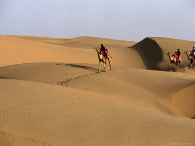 Camel Drivers Crossing Sam Sand Dunes, Jaisalmer, India by Corey Wise Pricing Limited Edition Print image