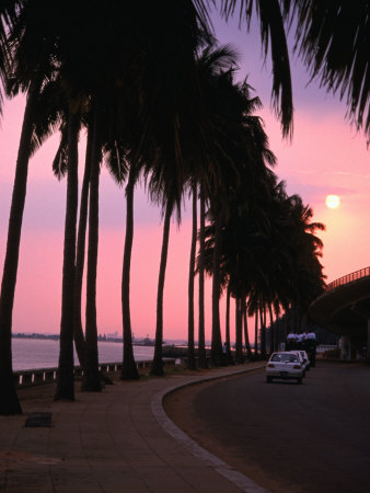 Silhouetted Palm Trees Along Avenida Marginal On Shores Of Maputo Bay At Dusk, Maputo, Mozambique by Rick Gerharter Pricing Limited Edition Print image