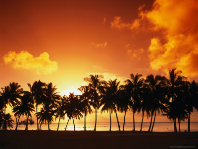 Sunset Over Palm Trees On West Coast, Cook Islands by Manfred Gottschalk Pricing Limited Edition Print image