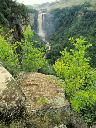 Karkloof Falls,105M High, On The Karkloof (Zulu Name, Mlambomunye) River, Howick, South Africa by Roger De La Harpe Pricing Limited Edition Print image
