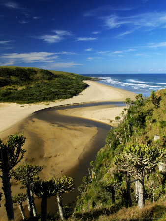 Shixini Estuary, Eastern Cape, South Africa by Roger De La Harpe Pricing Limited Edition Print image