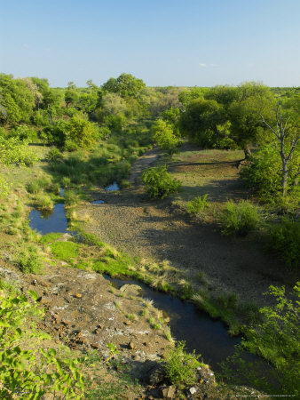 View Of Matabole River Near Jwala And Figafuti, Botswana by Roger De La Harpe Pricing Limited Edition Print image