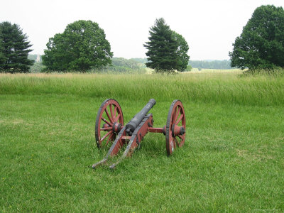 Historic Cannon, Valley Forge National Historical Park by Lee Foster Pricing Limited Edition Print image