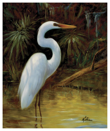 Tropical Egret I by Kilian Pricing Limited Edition Print image