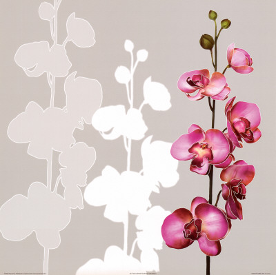 Silhouette Orchids Ii by Roxi Gray Pricing Limited Edition Print image