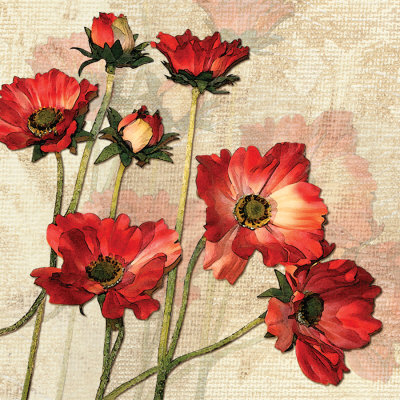 Bright Flowers On Texture Ii by Roxi Gray Pricing Limited Edition Print image