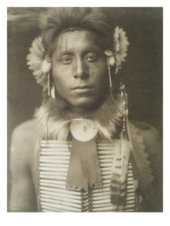 Sitting Eagle by Edward S. Curtis Pricing Limited Edition Print image