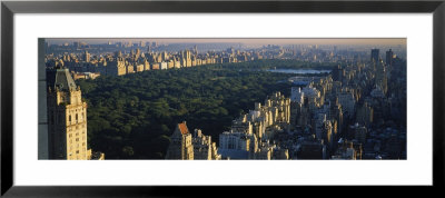 Buildings In Central Park, Manhattan, New York City, New York, Usa by Panoramic Images Pricing Limited Edition Print image