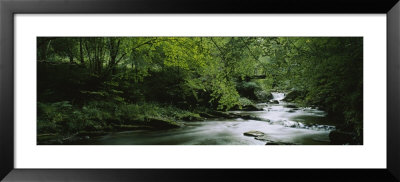 River Flowing In The Forest, Aberfeldy, Perthshire, Scotland by Panoramic Images Pricing Limited Edition Print image