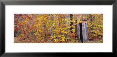 Outhouse In A Forest, Adirondack Mountains, New York, Usa by Panoramic Images Pricing Limited Edition Print image