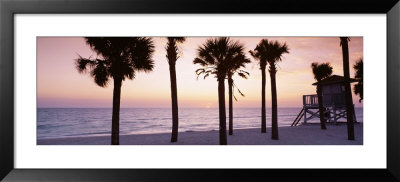 Palm Trees And A Lifeguard Hut On Lido Beach, Gulf Of Mexico, St Armands Key, Florida, Usa by Panoramic Images Pricing Limited Edition Print image