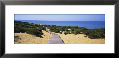 Boardwalk On The Beach, Cuesta De Maneli, Donana National Park, Huelva Province, Spain by Panoramic Images Pricing Limited Edition Print image