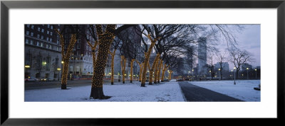 Trees Decorated With Christmas Lights, Illinois, Chicago, Usa by Panoramic Images Pricing Limited Edition Print image
