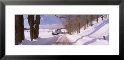 Trees On Both Side Of A Road, Vermont, Usa by Panoramic Images Pricing Limited Edition Print image