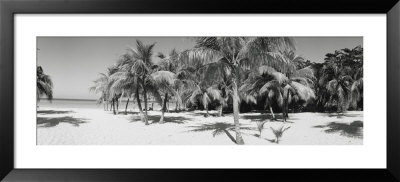 Palm Trees On The Beach, Negril, Jamaica by Panoramic Images Pricing Limited Edition Print image