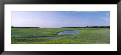 Salt Marshes, Atlantic Coast, Jacksonville, Florida, Usa by Panoramic Images Pricing Limited Edition Print image