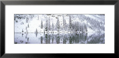 Reflection Of Trees In A Lake, Maroon Lake, Maroon Bells, Aspen, Colorado, Usa by Panoramic Images Pricing Limited Edition Print image