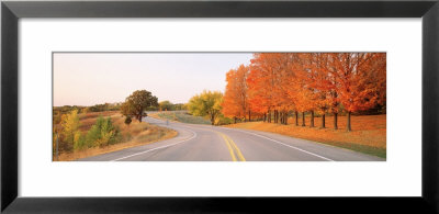 Tress Along A Two Lane Highway by Panoramic Images Pricing Limited Edition Print image