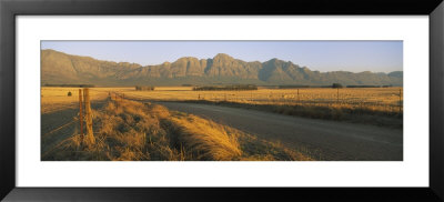 Road Running Through A Farm, South Africa by Panoramic Images Pricing Limited Edition Print image