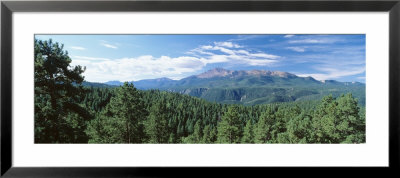 Trees In Front Of Pikes Peak Mountain, Pikes Peak National Forest, Colorado, Usa by Panoramic Images Pricing Limited Edition Print image