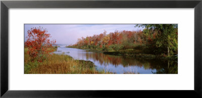 Reflection Of Trees In Water, Finger Lakes Region, New York, Usa by Panoramic Images Pricing Limited Edition Print image
