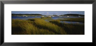 Tall Grass On The Beach, Littleneck Beach, Ipswich, Cape Ann, Massachusetts, Usa by Panoramic Images Pricing Limited Edition Print image