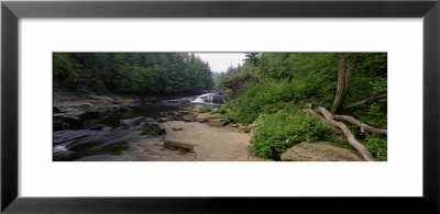 Stream Of Water Flowing Through A Forest, Swallow Falls State Park, Maryland, Usa by Panoramic Images Pricing Limited Edition Print image