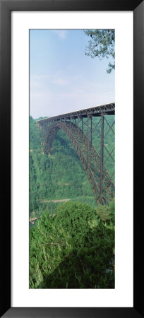 Trees Around The New River Gorge Bridge, Route 19, West Virginia, Usa by Panoramic Images Pricing Limited Edition Print image