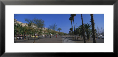 Trees On The Street, Barcelona, Catalonia, Spain by Panoramic Images Pricing Limited Edition Print image