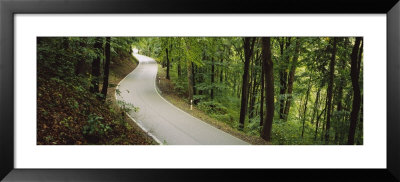 Empty Road Running Through A Forest, Stuttgart, Baden-Wurttemberg, Germany by Panoramic Images Pricing Limited Edition Print image